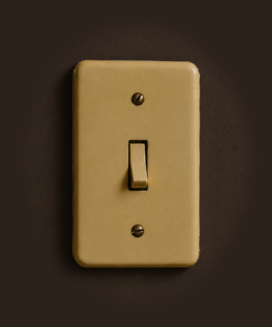 Vintage ivory light switch on a dark brown wall